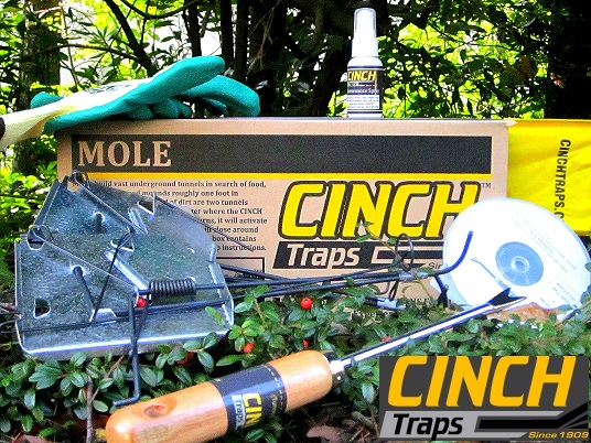 CINCH Traps Deluxe Mole Kit