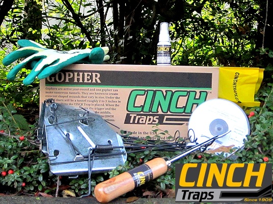 CINCH Traps Deluxe Gopher Kit