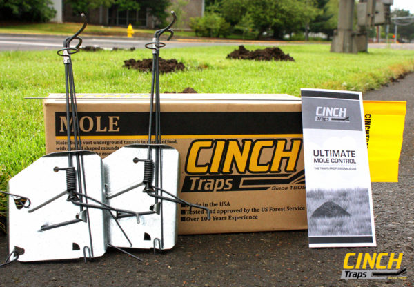 CINCH Traps Mole Kit